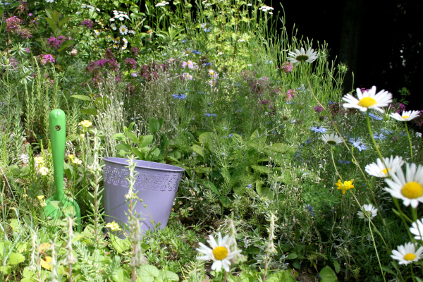 Fleurs sauvages sur rocailles et outils de jardin © Nicolas Macaire / LPO